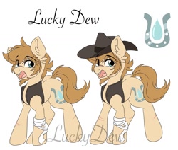 Size: 1080x914 | Tagged: safe, artist:lucky.dew_draws, oc, oc:lucky dew, earth pony, pony, bandage, beard, clothes, duo, ear fluff, earth pony oc, facial hair, hat, horseshoes, male, reference sheet, simple background, stallion, vest, watermark, white background