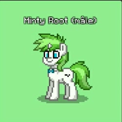 Size: 371x370 | Tagged: safe, artist:lekonar13, oc, oc only, oc:minty root, pony, pony town, green background, rule 63, simple background, solo