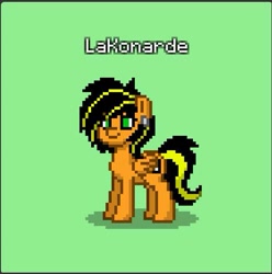 Size: 561x565 | Tagged: safe, artist:lekonar13, oc, oc:lekonar, pegasus, pony, pony town, rule 63