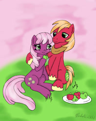 Size: 1024x1300 | Tagged: safe, artist:miflutter, big macintosh, cheerilee, earth pony, pony, g4, apple, female, food, grass, looking at each other, male, ship:cheerimac, shipping, smiling, straight
