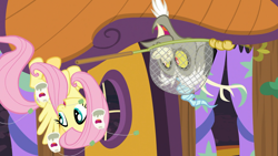 Size: 1920x1080 | Tagged: safe, screencap, discord, fluttershy, draconequus, pegasus, pony, discordant harmony, g4, butterfly net, duo, female, ginseng teabags, male, mare, net, upside down