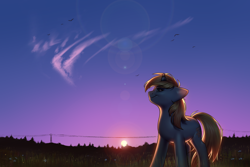Size: 3000x2000 | Tagged: safe, artist:klooda, oc, oc only, oc:skydreams, pony, unicorn, backlighting, cloud, commission, female, flower, high res, lens flare, mare, power line, scenery, scenery porn, sunset, ych result