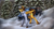 Size: 1463x790 | Tagged: safe, artist:raychelrage, oc, oc only, oc:desert snake, pegasus, pony, binoculars, snow, solo, tree, truck, winter