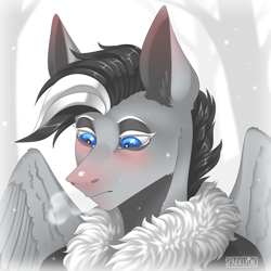 Size: 3000x3000 | Tagged: safe, artist:sparklyon3, oc, oc only, oc:spectrum storm, pegasus, anthro, bust, head, high res, male, portrait, solo, stallion, winter