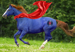 Size: 600x419 | Tagged: safe, oc, oc:bizarre song, horse, pony, cape, clothes, hoers, irl, irl horse, photo, recolored hoers, running