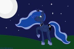 Size: 1178x772 | Tagged: safe, artist:estefania200, princess luna, alicorn, pony, g4, female, mare, moon, night, raised hoof, smiling, solo, stars