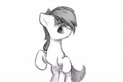 Size: 3000x2000 | Tagged: safe, artist:luneinspace, oc, earth pony, pony, bent legs, bipedal, high res, male, monochrome, on hind legs, simple background, sketch, white background