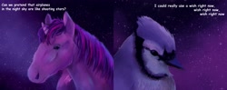 Size: 4096x1614 | Tagged: safe, artist:elikapika, twilight sparkle, bird, blue jay, pony, unicorn, g4, aeroplanes and meteor showers, airplanes (song), b.o.b., crossover, crossover shipping, female, hayley williams, hoers, lyrics, male, mare, mordecai, mordetwi, night, realistic, redraw mordetwi meme, regular show, shipping, song reference, stars, straight, text, unicorn twilight