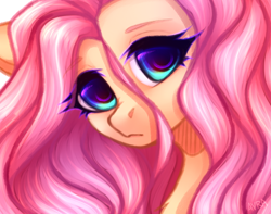 Size: 974x766 | Tagged: safe, artist:avrameow, fluttershy, pegasus, pony, g4, bust, cute, female, looking at you, mare, portrait, shyabetes, solo, stray strand, three quarter view