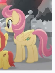 Size: 219x288 | Tagged: safe, screencap, rose honey, pegasus, pony, g4, my little pony: rainbow roadtrip, background pony, cropped, female, mare, offscreen character, solo focus, unnamed character, unnamed pony