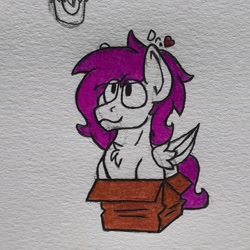 Size: 1725x1725 | Tagged: safe, artist:drheartdoodles, oc, oc only, oc:dr.heart, clydesdale, pegasus, pony, behaving like a cat, box, chest fluff, coloring, smiling, solo, traditional art