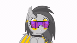Size: 600x338 | Tagged: safe, artist:electedpony, artist:electrum18, oc, bat pony, pony, animated, bat pony oc, bat wings, collar, eyelashes, gif, glasses, hooves, looking at something, piercing, simple background, solo, the fluffies, vector, website, white background, wings, yellow eyes