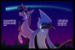Size: 3000x2000 | Tagged: safe, artist:dummydino, twilight sparkle, bird, blue jay, pony, unicorn, g4, aeroplanes and meteor showers, airplanes (song), b.o.b., crossover, crossover shipping, crying, dialogue, female, hayley williams, high res, lyrics, male, mare, mordecai, mordetwi, night, redraw mordetwi meme, regular show, sad, shipping, shooting star, song reference, stars, straight, teary eyes, text, unicorn twilight