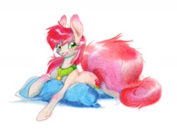 Size: 1720x1275 | Tagged: safe, artist:rapapaya, roseluck, earth pony, pony, g4, collar, commissioner:doom9454, cute, female, lying down, mare, pet tag, pillow, pony pet, prone, rosepet, simple background, solo, traditional art, white background