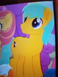 Size: 4032x3024 | Tagged: safe, screencap, bright vision, lockpick (character), rose honey, sand dune, earth pony, pony, g4, my little pony: rainbow roadtrip, background pony, cropped, female, low quality, male, mare, photo, picture of a screen, solo focus, stallion