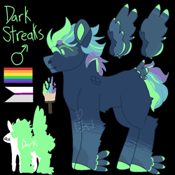 Size: 1000x1000 | Tagged: safe, artist:lepiswerid, oc, oc only, oc:dark streaks, pegasus, pony, black background, colored hooves, colored wings, cutie mark, demisexual, demisexual pride flag, feathered fetlocks, height difference, male, marsverse, offspring, parent:rainbow dash, parent:soarin', parents:soarindash, pride, pride flag, reference sheet, simple background, solo, stallion, tail feathers, text, winged hooves, wings