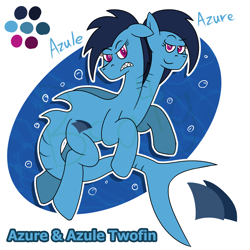 Size: 1500x1500 | Tagged: safe, artist:b-cacto, oc, oc only, oc:azure & azule twofin, original species, shark, shark pony, angry, looking at you, multiple heads, reference sheet, two heads