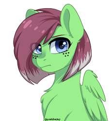 Size: 1000x1100 | Tagged: safe, artist:cottonsweets, oc, oc only, oc:watermelon success, pegasus, pony, chest fluff, eye clipping through hair, female, freckles, looking at you, mare, simple background, solo, transparent background