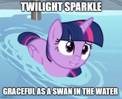 Size: 556x449 | Tagged: safe, artist:mlpfan3991, edit, edited screencap, screencap, twilight sparkle, alicorn, pony, deep tissue memories, g4, my little pony: friendship is forever, caption, cropped, cute, female, image macro, solo, swanlight sparkle, text, twiabetes, twilight duckle, twilight sparkle (alicorn)