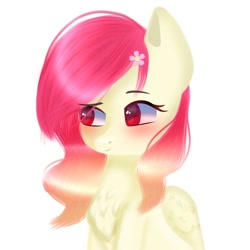 Size: 768x768 | Tagged: safe, alternate version, artist:speedyflashh, oc, oc only, pegasus, pony, blushing, bust, chest fluff, cute, flower, flower in hair, ocbetes, pegasus oc, simple background, solo, white background, wings