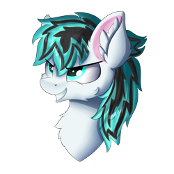Size: 5000x5000 | Tagged: safe, artist:lunar froxy, oc, oc only, oc:light jet, pegasus, pony, bust, commission, male, pegasus oc, simple background, solo, stallion, transparent background