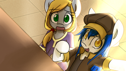 Size: 5760x3240 | Tagged: safe, artist:spheedc, oc, oc:light chaser, oc:scarlet sky, earth pony, pegasus, semi-anthro, arm hooves, clothes, digital art, female, hat, looking at you, mare, selfie, sitting, table