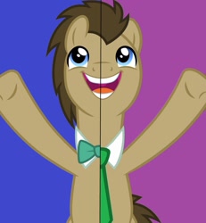 Size: 1280x1388 | Tagged: safe, artist:cloudy glow, artist:disneymarvel96, edit, vector edit, doctor whooves, time turner, earth pony, pony, a horse shoe-in, g4, bowtie, male, necktie, side by side, solo, vector