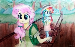 Size: 1131x706 | Tagged: safe, artist:liaaqila, fluttershy, rainbow dash, human, equestria girls, g4, adventurer, alternate hairstyle, backpack, bridge, canyon, clothes, cute, determined, duo, female, forest, grass, hat, hypnosis, hypnotized, nervous, outdoors, pith helmet, ponytail, rope bridge, skirt, smiling, traditional art, tree