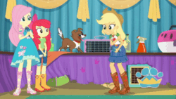 Size: 1200x677 | Tagged: safe, screencap, apple bloom, applejack, fluttershy, winona, dog, best in show: the pre-show, equestria girls, equestria girls series, g4, spoiler:eqg series (season 2), animated, apple bloom's bow, apple sisters, best in show logo, boots, bow, clothes, cowboy boots, cowboy hat, cropped, female, gif, hair bow, hat, jeans, microphone, pants, running, shirt, shoes, siblings, sisters, skirt