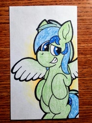 Size: 1920x2560 | Tagged: source needed, safe, artist:thebadbadger, oc, oc only, oc:jade breeze, pegasus, pony, irl, pegasus oc, photo, traditional art, wings