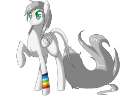 Size: 1600x1200 | Tagged: safe, artist:tomat-in-cup, oc, oc only, oc:arctic fluff, pegasus, pony, eye scar, leonine tail, male, pegasus oc, raised hoof, scar, simple background, solo, stallion, transparent background, wings