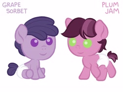 Size: 4000x3000 | Tagged: safe, oc, oc only, oc:grape sorbet, oc:plum jam, earth pony, pony, baby, colt, diaper, female, filly, foal, grape, male, plum, solo, young