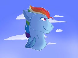 Size: 1024x768 | Tagged: safe, artist:linky, rainbow dash, pegasus, pony, g4, big ears, bust, cloud, feather, female, g5 concept leaks, mare, rainbow dash (g5 concept leak), redesign, sky, solo