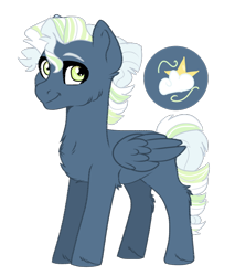 Size: 642x755 | Tagged: safe, artist:spectrumnightyt, oc, oc only, oc:hidden star, pegasus, pony, male, offspring, parent:sky stinger, parent:vapor trail, parents:vaporsky, simple background, solo, stallion, transparent background