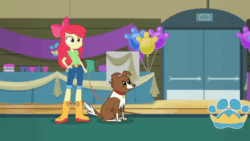 Size: 1200x676 | Tagged: safe, screencap, apple bloom, cranky doodle donkey, fluffersnuff, winona, dog, best in show: the victory lap, equestria girls, g4, my little pony equestria girls: better together, animated, apple bloom's bow, balloon, boots, bow, clothes, collar, cropped, cup, dog collar, door, gif, hair bow, hand on hip, jeans, leaning, looking at each other, pants, pet, petting, shirt, shoes, short pants, smiling, sweater, table, walking