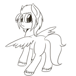 Size: 900x900 | Tagged: safe, artist:askponybrandenburg, pegasus, pony, europe, female, hetalia, lineart, looking back, mare, monochrome, ponified, solo, unshorn fetlocks