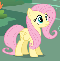 Size: 900x916 | Tagged: safe, screencap, fluttershy, pegasus, pony, g4, it's about time, cropped, female, mare, solo
