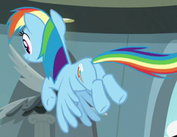 Size: 449x349 | Tagged: safe, screencap, rainbow dash, pony, daring doubt, g4, butt, cropped, female, flying, plot, solo