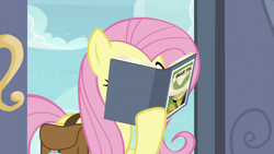Size: 1920x1080 | Tagged: safe, screencap, daring do, fluttershy, daring doubt, g4, bag, book, holding, hoof hold, reading, saddle bag