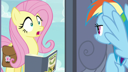 Size: 1920x1080 | Tagged: safe, screencap, daring do, fluttershy, rainbow dash, pegasus, pony, daring doubt, g4, bag, book, holding, looking at each other, saddle bag, shocked