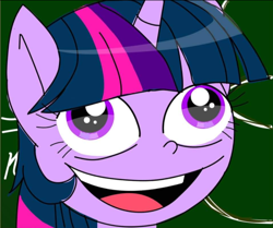 Size: 720x603 | Tagged: artist needed, safe, twilight sparkle, alicorn, pony, g4, my little pony best gift ever, bust, chalkboard, derp, digital art, faic, female, mare, meme, open mouth, portrait, pudding face, smiling, solo, twilight sparkle (alicorn), wide eyes