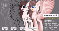 Size: 6000x3200 | Tagged: safe, artist:aorkamon, artist:benzayngcup, oc, oc only, alicorn, earth pony, pegasus, pony, unicorn, commission, solo