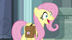 Size: 1920x1080 | Tagged: safe, screencap, fluttershy, pegasus, pony, daring doubt, g4, bag, excited, female, saddle bag, solo