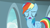 Size: 1920x1080 | Tagged: safe, screencap, rainbow dash, pegasus, pony, daring doubt, g4, female, solo