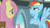 Size: 1920x1080 | Tagged: safe, screencap, fluttershy, rainbow dash, pegasus, pony, daring doubt, g4, my little pony: friendship is magic, bag, crossed arms, flying, rainbow dash's house, saddle bag