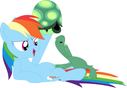 Size: 3557x2470 | Tagged: safe, artist:porygon2z, rainbow dash, tank, pegasus, pony, reptile, tortoise, g4, anatomically incorrect, duo, female, high res, male, mare, no shell, on back, playing, shell, simple background, teasing, transparent background, vector
