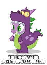 Size: 500x684 | Tagged: safe, spike, dragon, g4, luna eclipsed, clothes, costume, dragon costume, go to sleep garble, op is a duck, op is trying to start shit, op is trying too hard, shitposting, spikeabuse