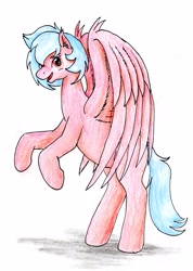 Size: 2019x2828 | Tagged: safe, artist:40kponyguy, derpibooru exclusive, oc, oc only, oc:sam, pegasus, pony, high res, male, rearing, requested art, simple background, solo, spread wings, stallion, traditional art, wings