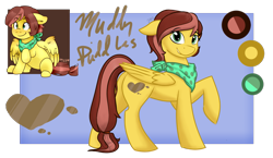 Size: 2475x1440 | Tagged: safe, artist:cadetredshirt, oc, oc only, oc:muddy puddles, pegasus, pony, female, mare, reference sheet, simple background, solo