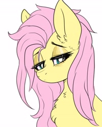 Size: 3277x4096 | Tagged: safe, artist:h0rsefeathers, fluttershy, pegasus, pony, g4, bust, cute, ear fluff, female, messy mane, shyabetes, simple background, sleepy, solo, white background
